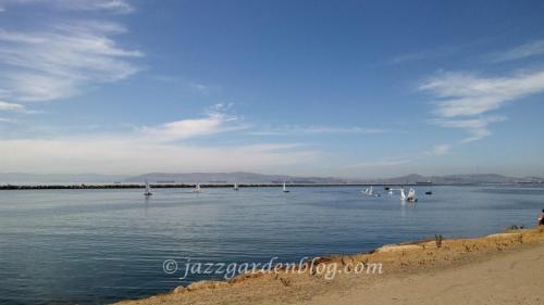 Alameda Estuary