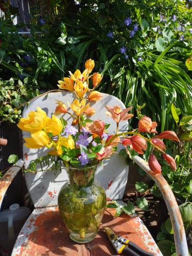 Orchids in vase