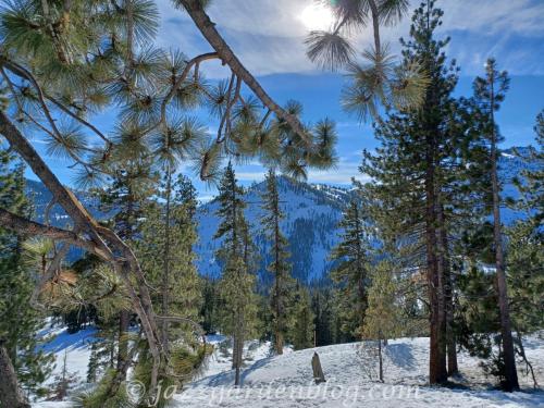 Donner Pass