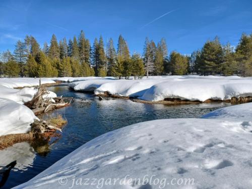 Donner Pass Lake