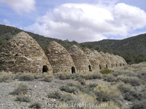 Charcoal Kilns