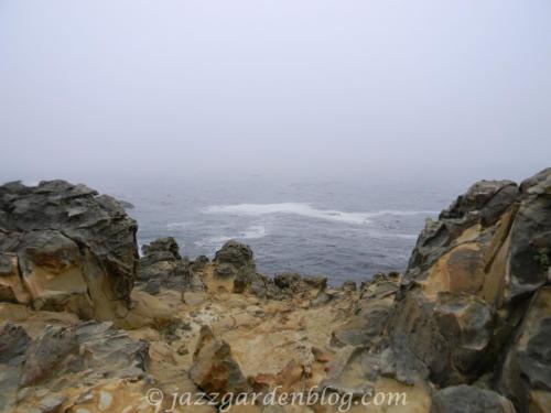 Salt Point #1