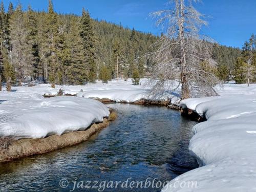 Donner Pass Lake