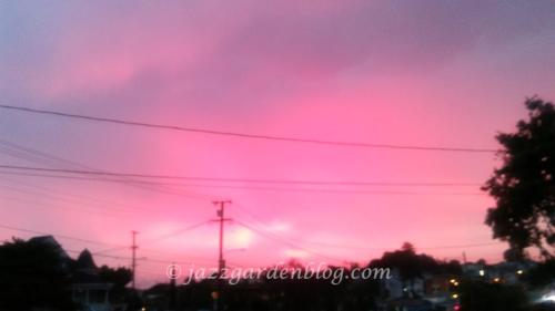 Pink Hue Sky